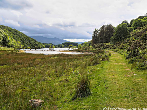 Llyn Cynwch
